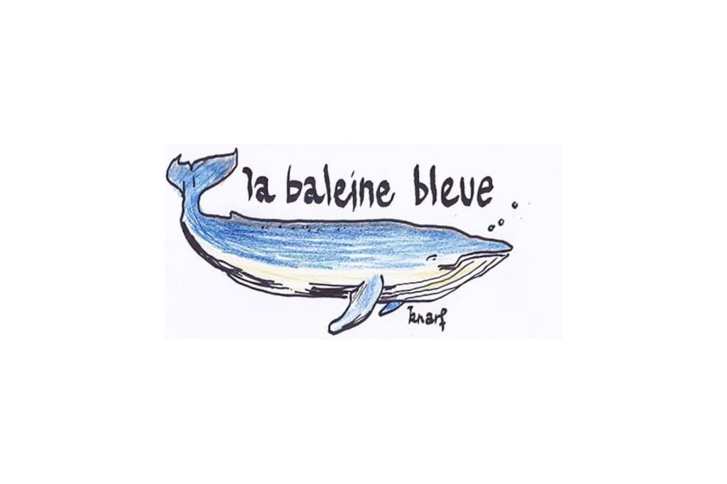 La Baleine Bleue Διαμέρισμα Saint-Aubin-Sur-Mer  Εξωτερικό φωτογραφία